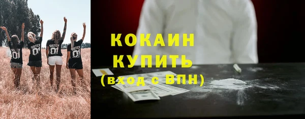 спиды Бородино