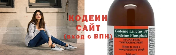 спиды Бородино