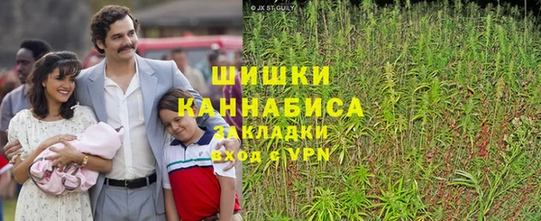 спиды Бородино